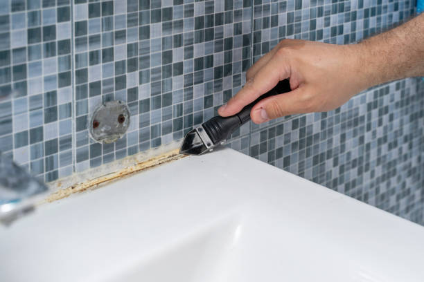 Best Certified Mold Removal  in Albany, OR