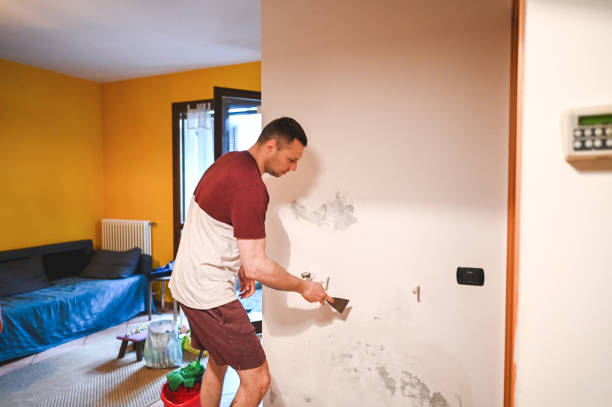 Best Best Mold Removal Companies  in Albany, OR